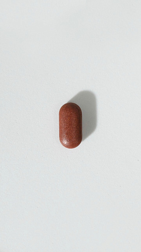 Красный ферментированный рис c коэнзимом Q10 "Lipid-Biom" фото